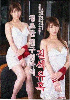 电视动画风起食堂封面图